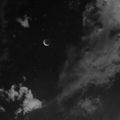 life imitates life - quannnic (slowed reverb)