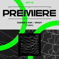 PREMIERE | SODREE & RaF. - Crazy [TORO]