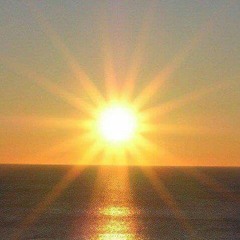 Solace (p.  underthemapletree)