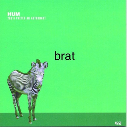 why i like the robins (hum cover)