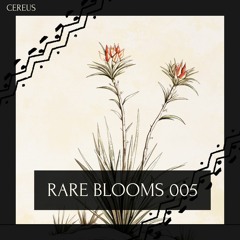 Cereus - Rare Blooms 005