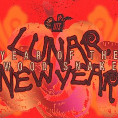 Lunar New Year w/ DJ Love 020225