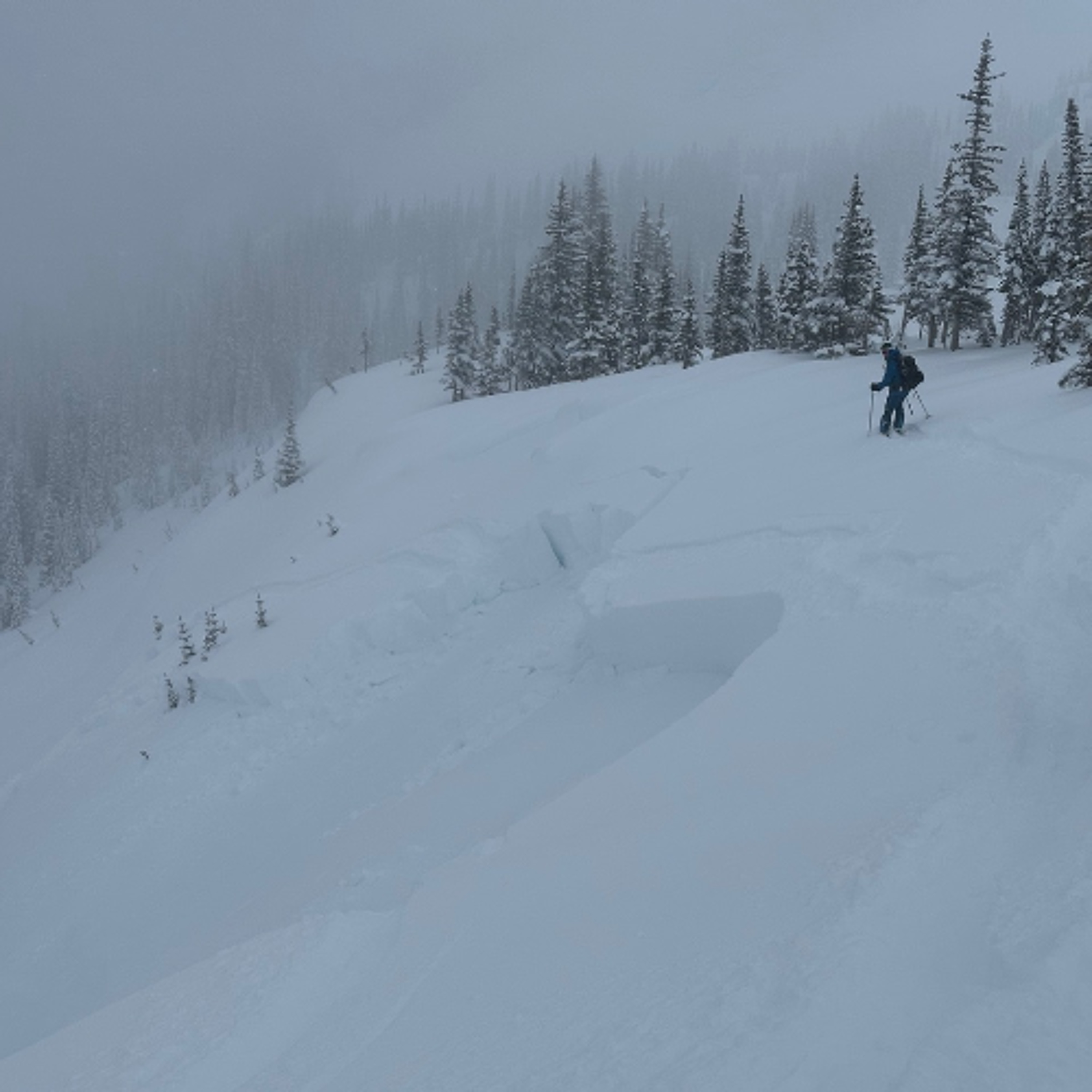 Bonus Episode- Lessons from the Slopes- An Avalanche Experience - Rob and Mark