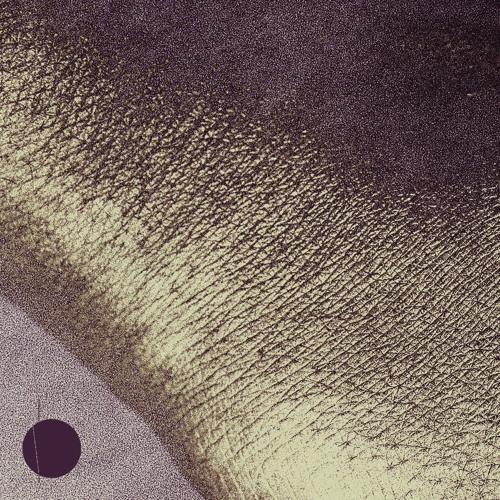Log 021 - Polygonia
