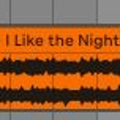 STS349SAUCE- Night