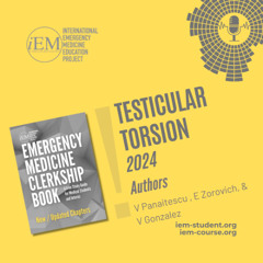 Testicular Torsion (2024)