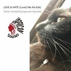 Love & Hate (Love2 Mix Re-Edit)/Tamio Yamashita(Japrican Sounds)