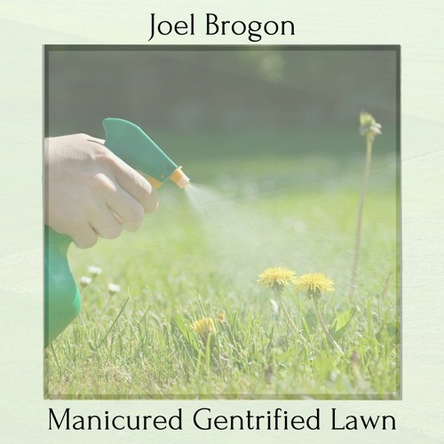 Manicured Gentrified Lawn