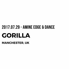 2017.07.29 - Amine Edge & DANCE @ Gorilla, Manchester, UK