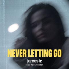 Never Letting Go (feat. Keirah Kirton)