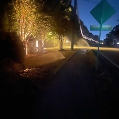 I LOVE THE PAPE ft. 10LuhAnt