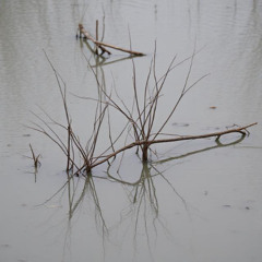 Septic Underground - Stagnant
