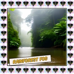 Rain Forest Fog