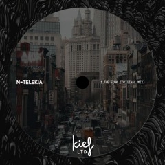 PREMIERE! N - Telekia - The Funk (Original Mix) Kief Music
