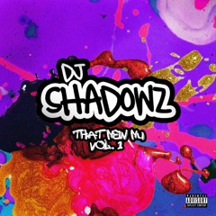 That New Nu VOL . I - Mixed By DJ Shadowz