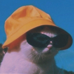 COOLEST CAT ON THEE BLOCK