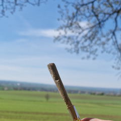 Längst schon