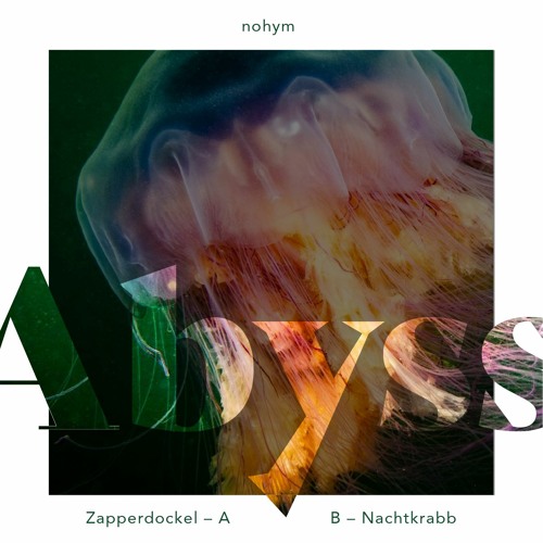 nohym - Nachtkrabb