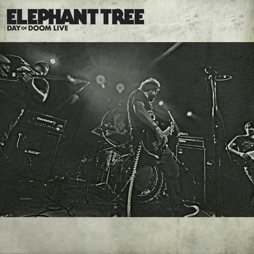 Wither (Live)