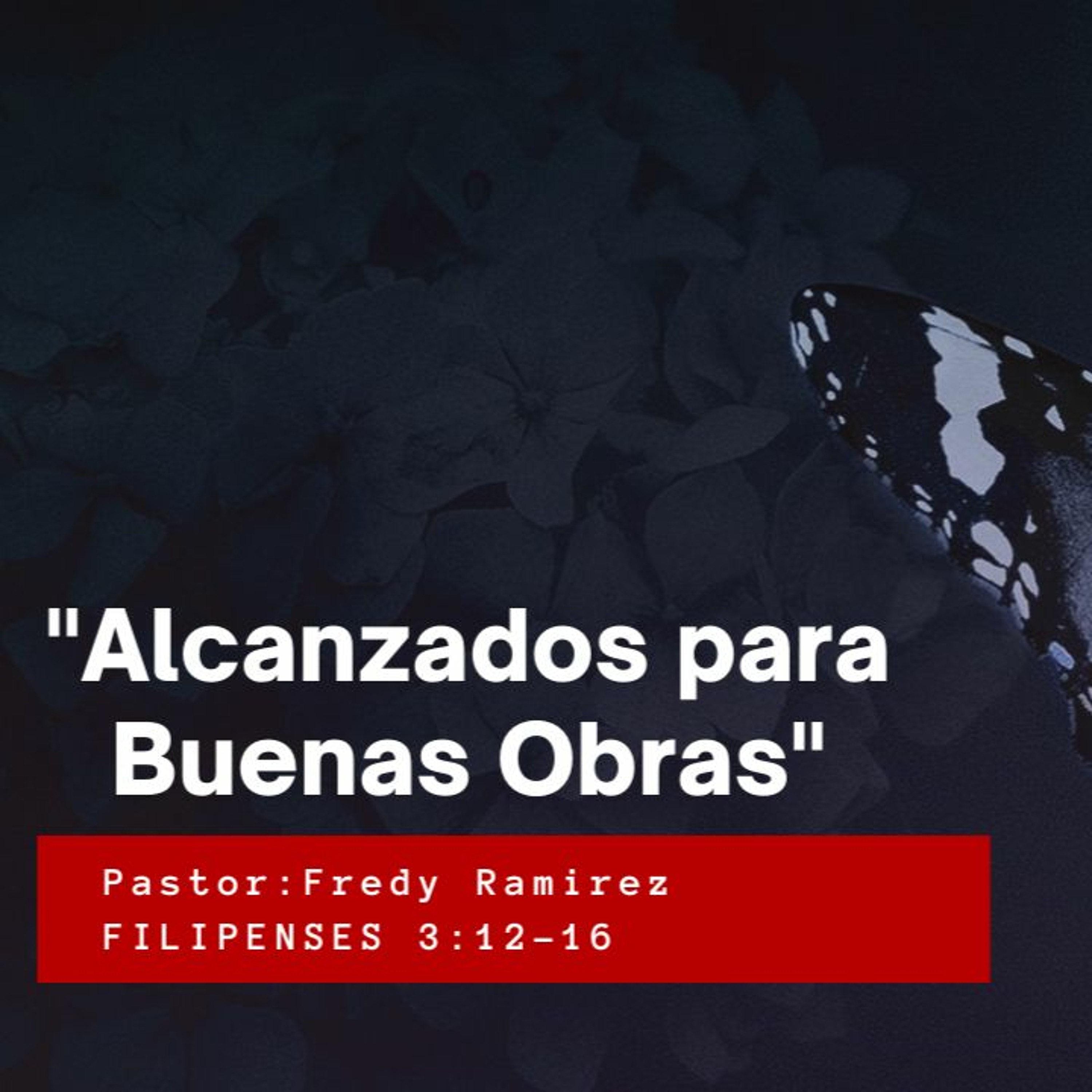 Iglesia Cristiana Biblica Raah