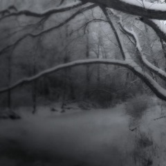 FRISKY | Reflections 030 - Jan 2025