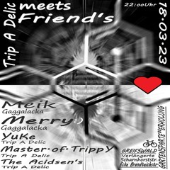 Master.of.Trippy @ Trip a Delic meets Friend's