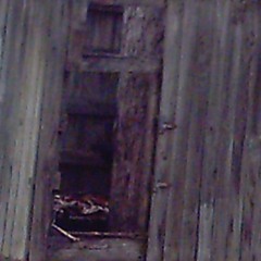 i've never felt so sure of my own demise