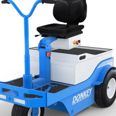 electric donkey