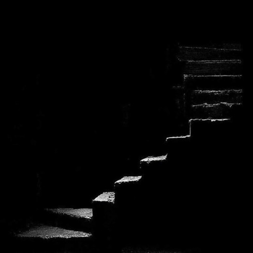 MnemonicKiss - Scaffold In Winter