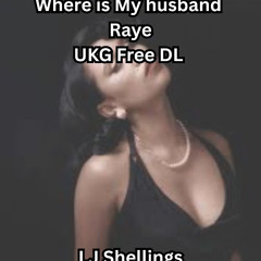 Raye - Where is My husband - Speed Garage UKG Free DL