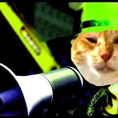 this is the sound of