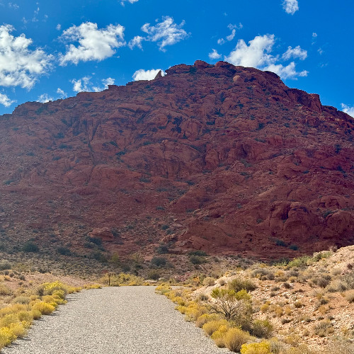 String Quartet in A - 2