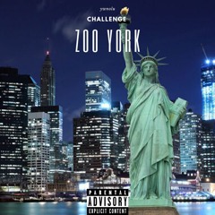 Lil Tjay Zoo York(Challenge)
