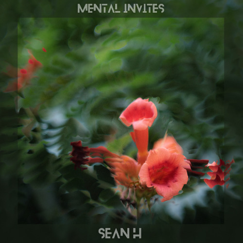 Abyssaï | Mental invites Sean H