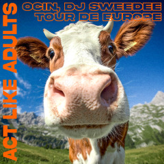 OCIN, DJ Sweedee - Tour De Europe