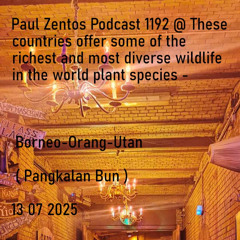 Paul Zentos Podcast 1192 @ These countries offer some of the richest and most diverse wildlife in the world plant species -  Borneo-Orang-Utan ( Pangkalan Bun ) 13 07 2025