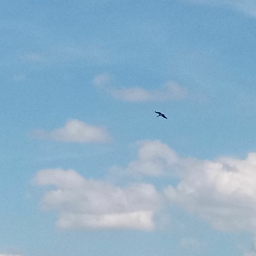 ‎2022 May 20 ‏‎20:56:57