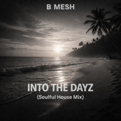 Into The Dayz (Soulful House Mix)