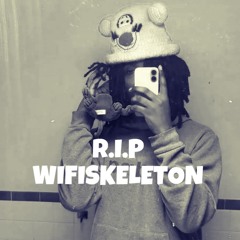WifiSkeleton