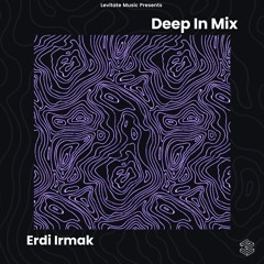 Deep In Mix 92 with Erdi Irmak
