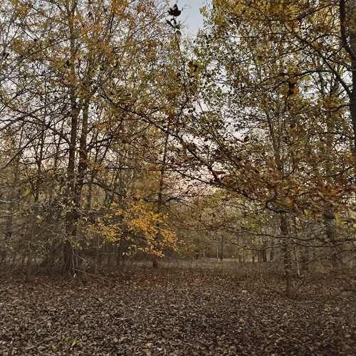 outlookv2.wav