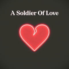 A Soldier Of Love