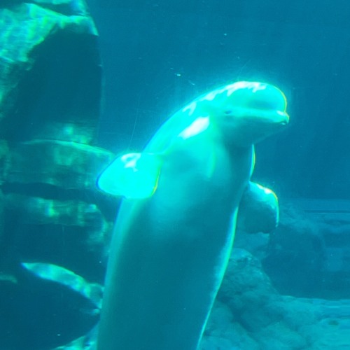 Lullaby Session: Spin101