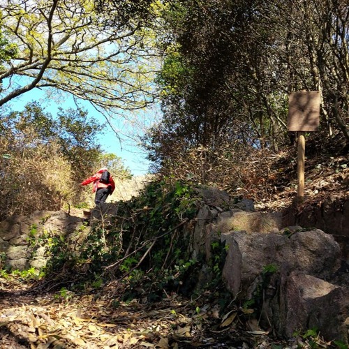 2: MS Changes Podcast Series - Gill's Story