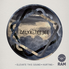 Elevate This Sound