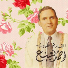 الله يعلم ما تحمل كل انثي وما تغيض الأرحام ¦ أحمد نعينع