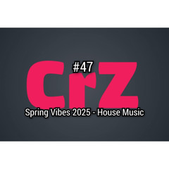 Crazy Dj #47 - Spring Vibes 2025 - House Music