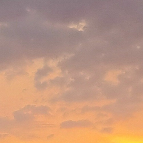 𝙁𝙡𝙖𝙨𝙝𝙗𝙖𝙘𝙠𝙨