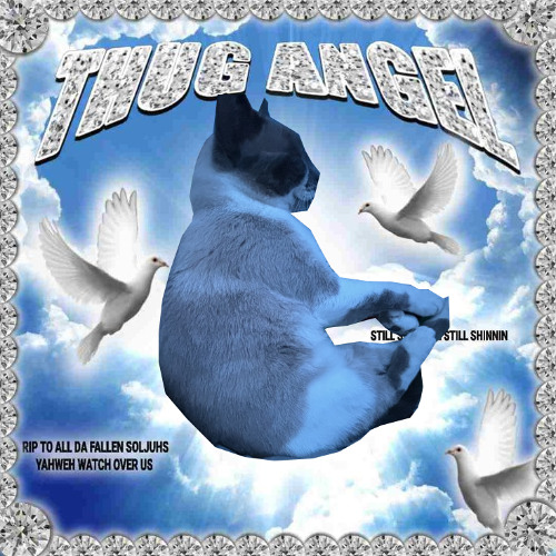 99 - whut to do w/ mollywater