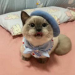 yobxxwnnafkonme @ayeooitstxde